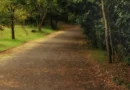 Cicloturismo em parques nacionais